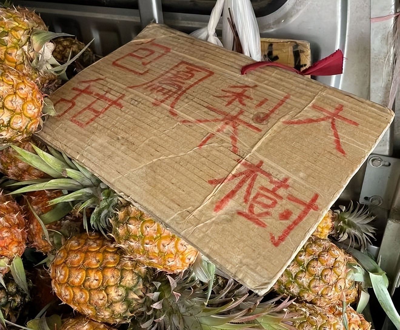 台湾名嘴说台湾吃凤梨,台湾名嘴谈吃18公斤凤梨