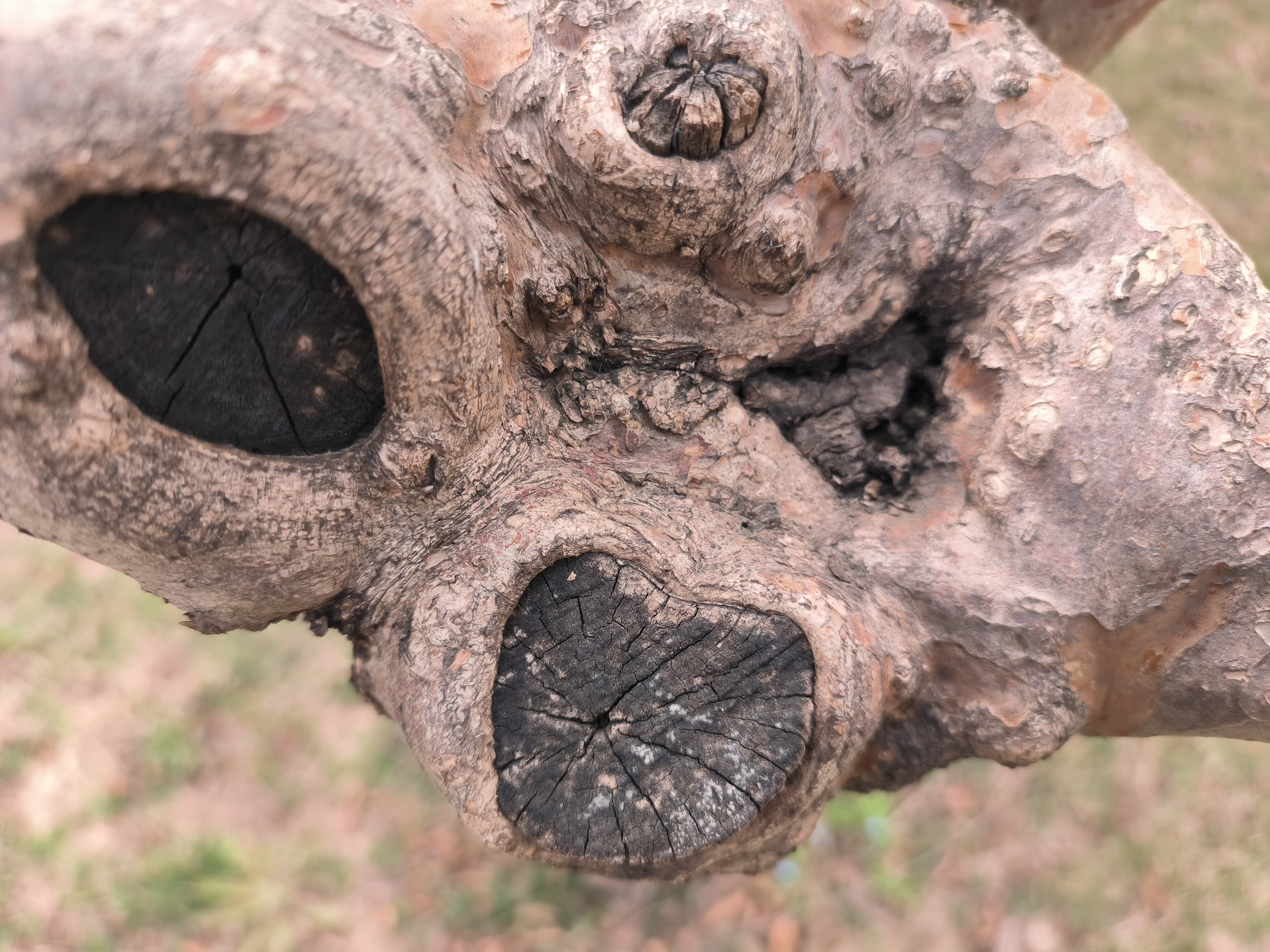 k50pro天玑9000测评,k50电竞版和k50pro小白测评