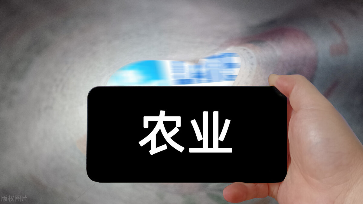 新疆中央每亩补600的文件,农业补助每亩多少钱