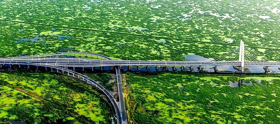 湿地可以开发什么旅游项目,黑龙江旅游必去十大湿地排名