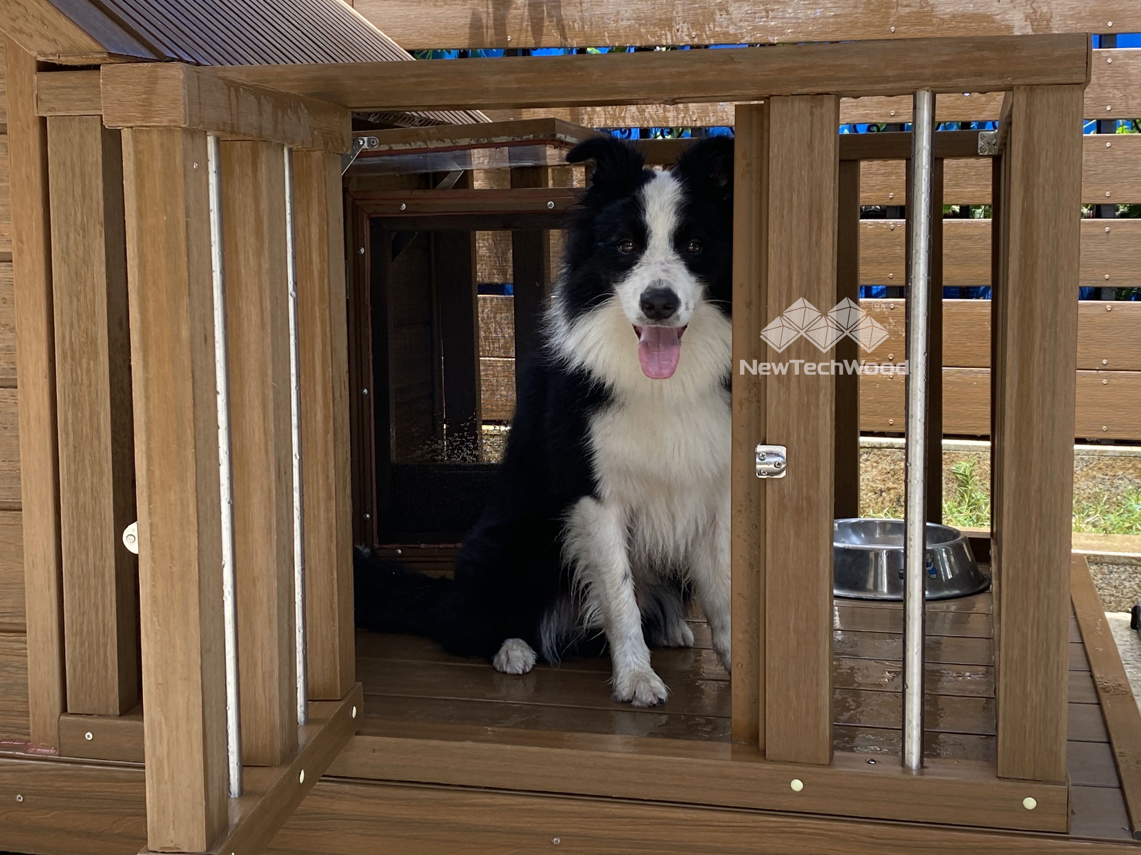 给爱犬一个五星级的“窝”