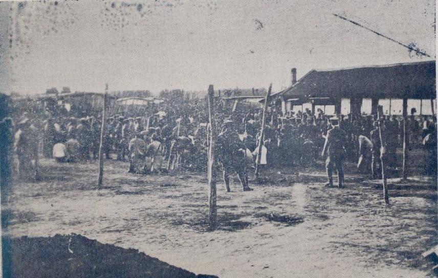 罕见照片，世界上胸最大的女人，女人舌头10.16厘米，你见过吗