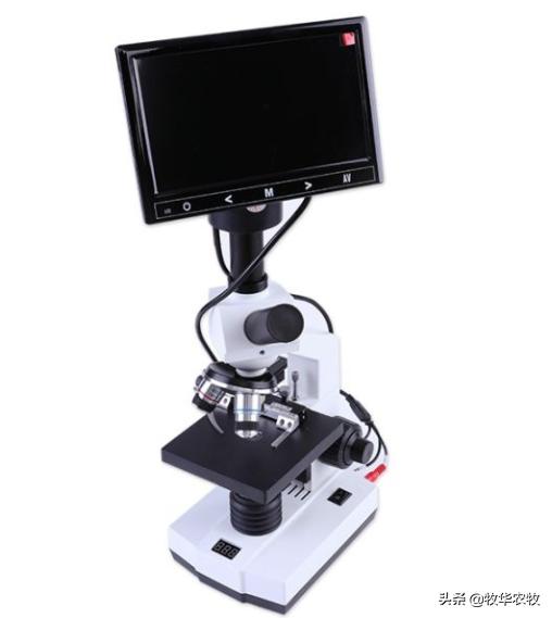 母牛人工授精技巧方法,母牛人工授精的方法