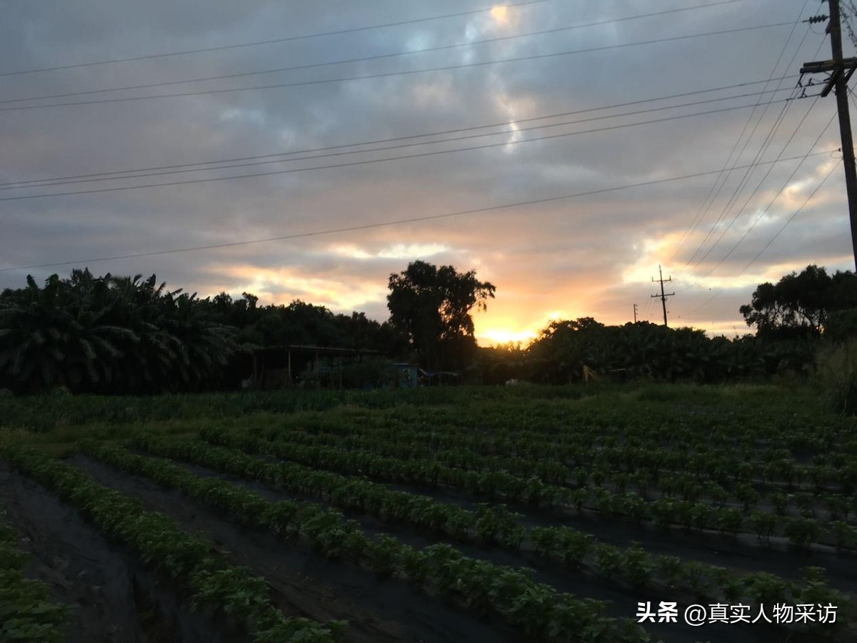 在美国，卡车司机是华人圈里香饽饽，月薪4千美元，但入行需谨慎
