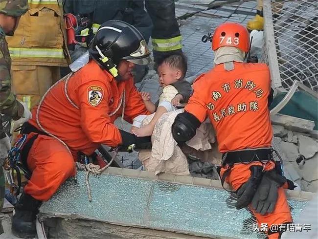 养猫有细菌浪费钱吗,养猫有用吗