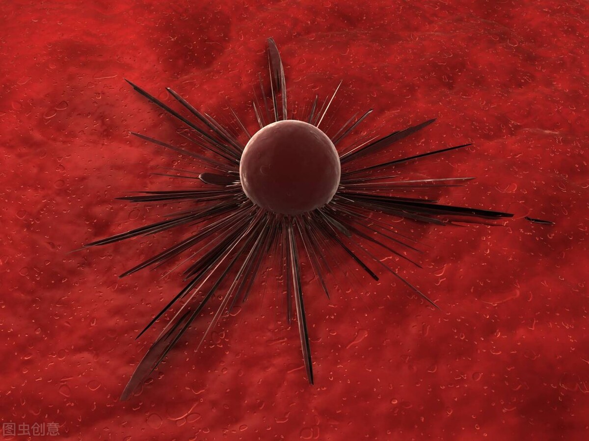 大豆油和油菜籽油哪个好,菜籽油花生油玉米油橄榄油哪个好