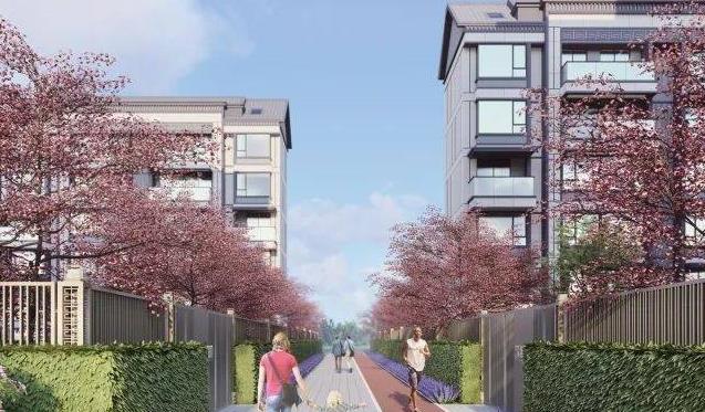 青浦通润朱韵兰亭市场中心丨通润朱韵兰亭网站首页最新价格