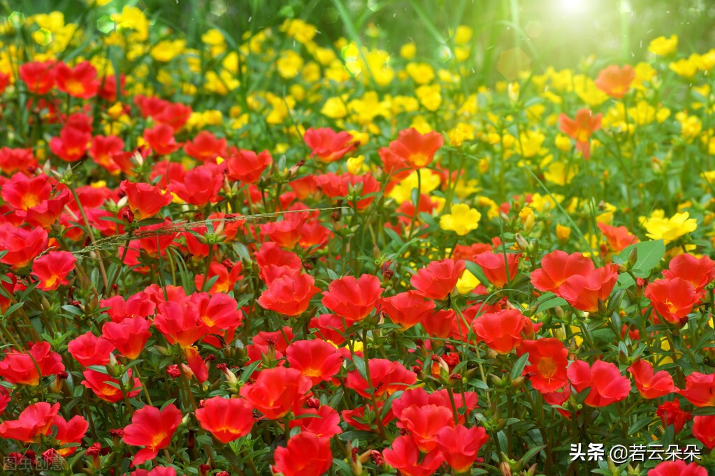 高看自己，高看别人