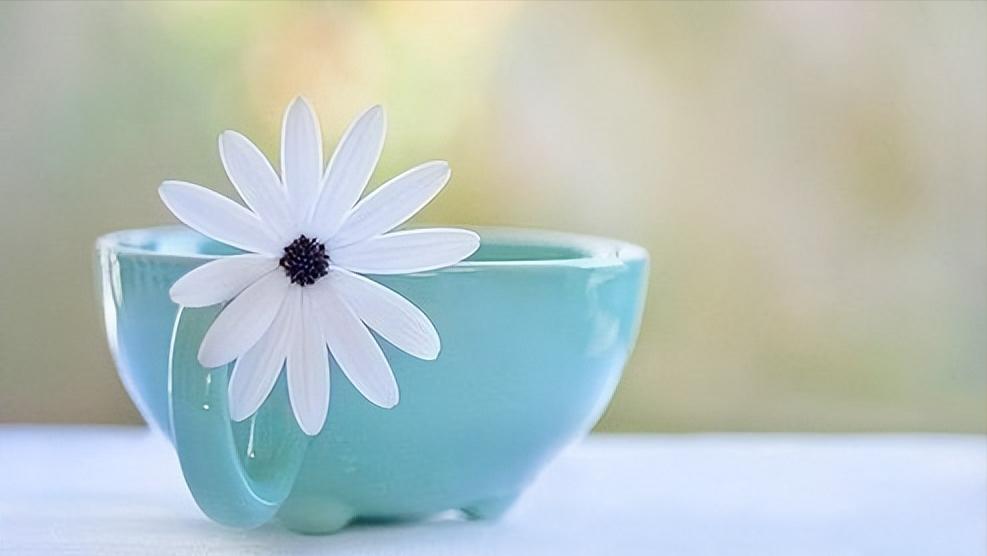 面对讨厌的人不想说话很烦,面对不喜欢的人内心是抵触的