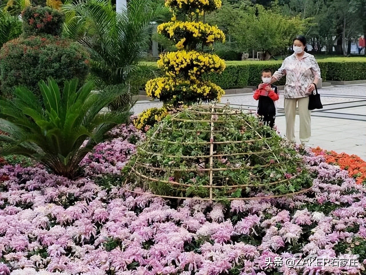 石家庄发布地震灾害预警,预警提示气象灾害河北石家庄