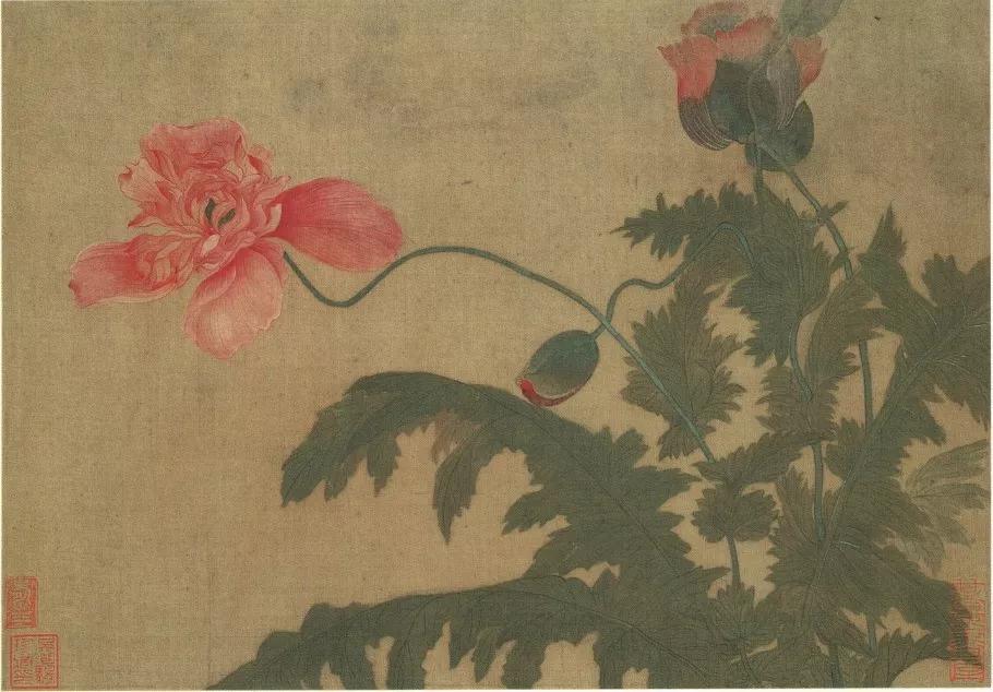 清代九大名家花鸟册页欣赏,清朝九大名家花鸟山水图