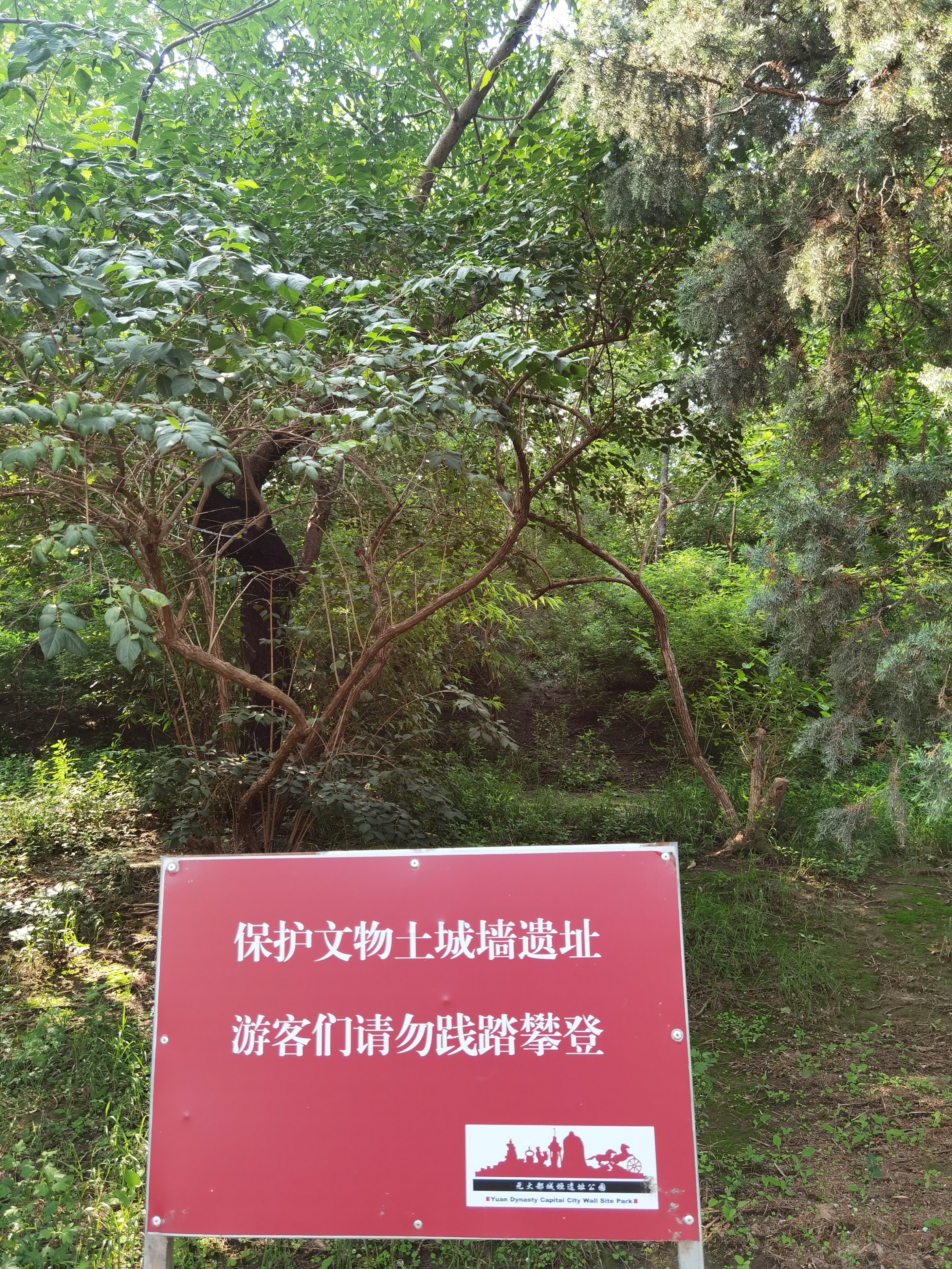 偶走北土城（散文）