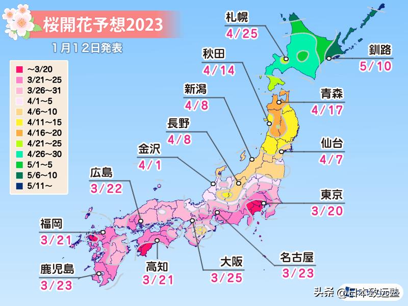 日本樱花季赏樱攻略,2020年日本樱花季赏樱攻略出炉