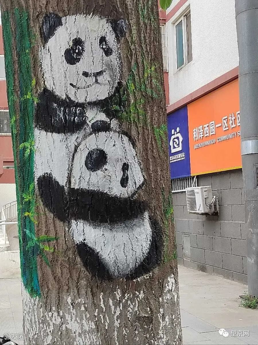 blueglass酸奶望京,blueglass酸奶望京凯德