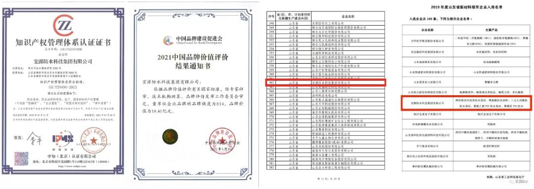 专精特新小巨人企业引领转型升级,专精特新小巨人企业培育