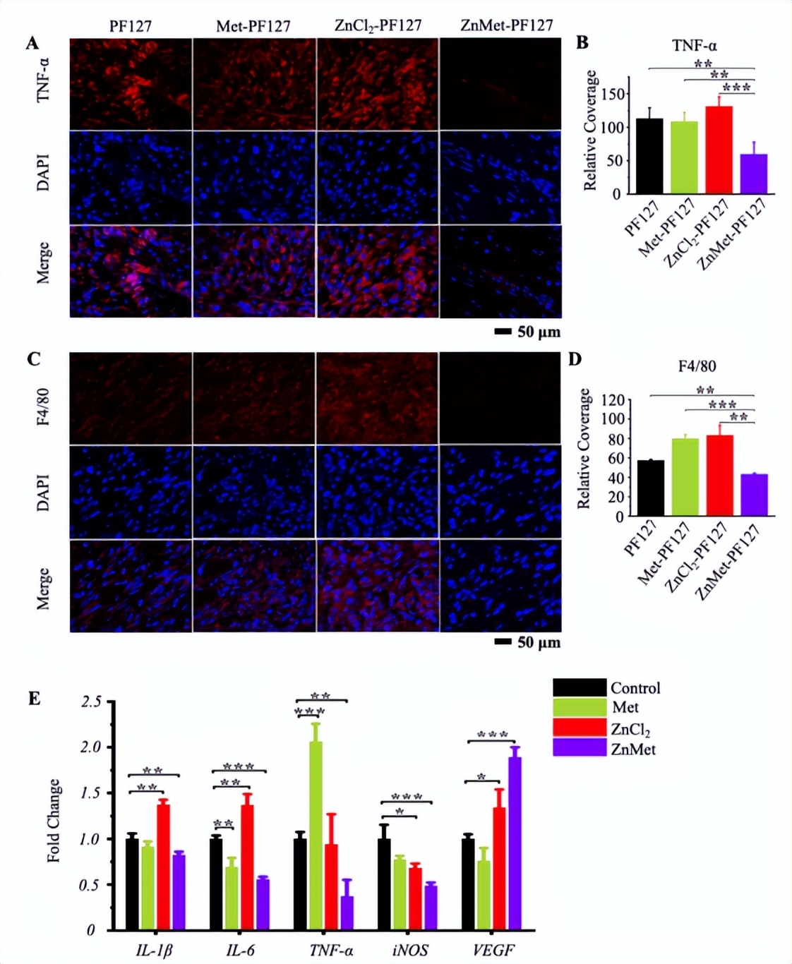 「科研快报」可喷雾热敏水凝胶与锌修饰二甲双胍促进皮肤创面愈合