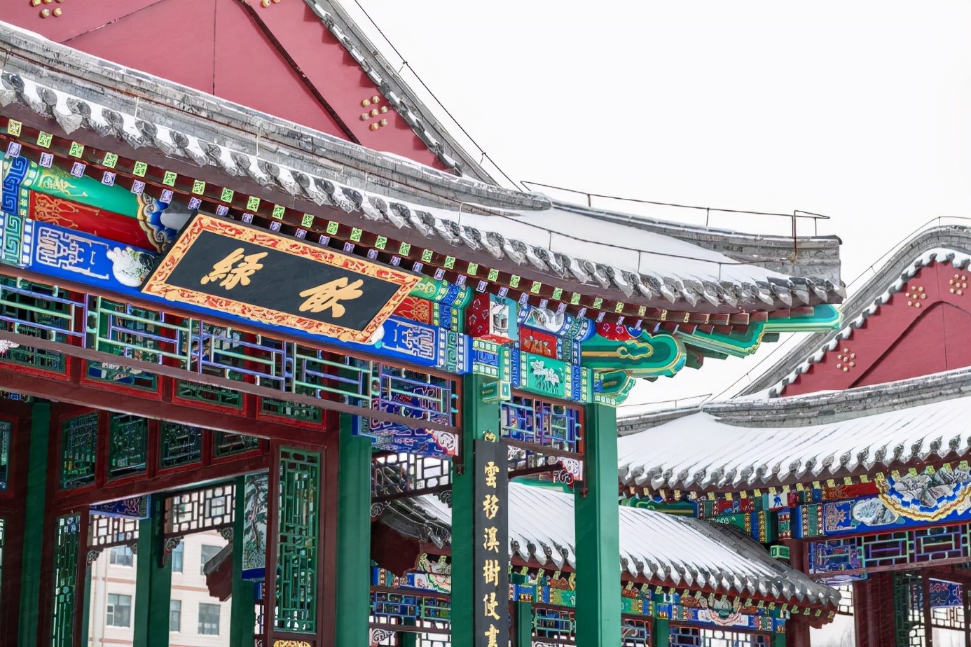 「雪落象牙塔」东北农业大学:银堆玉砌雪漫飞花