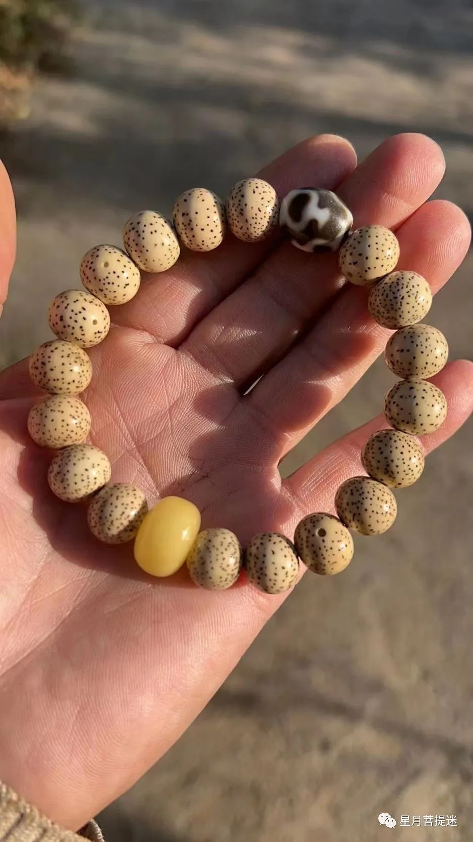 星月菩提如何选择合适自己的,星月菩提怎么挑选才是正确的