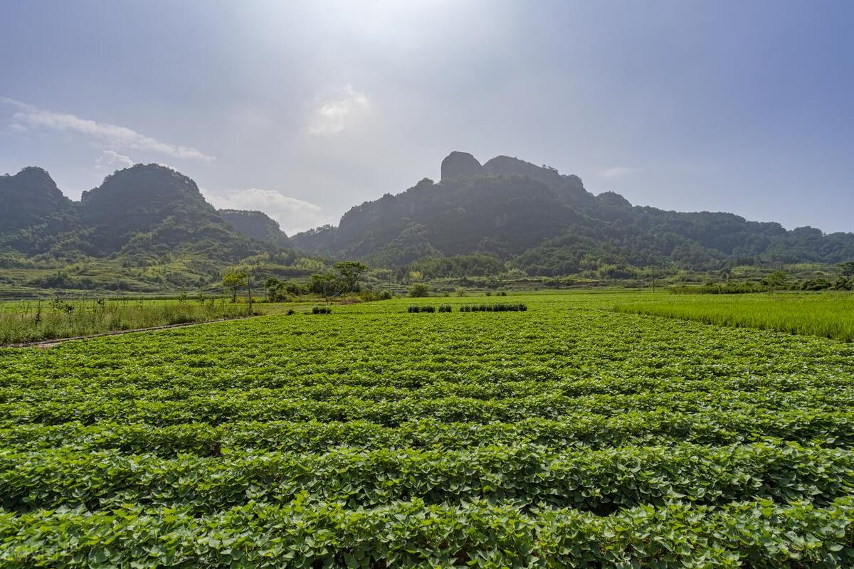 我在澳门做“捞妹”工资11000中年的残酷在我身上体现得淋漓尽致