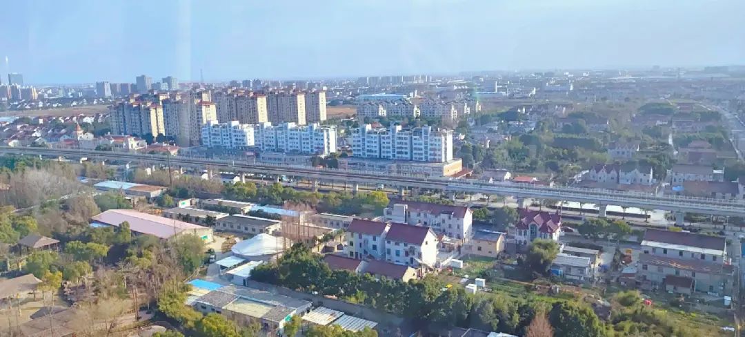 一月份去上海野生动物园和海洋馆,十一带大家去上海野生动物园玩