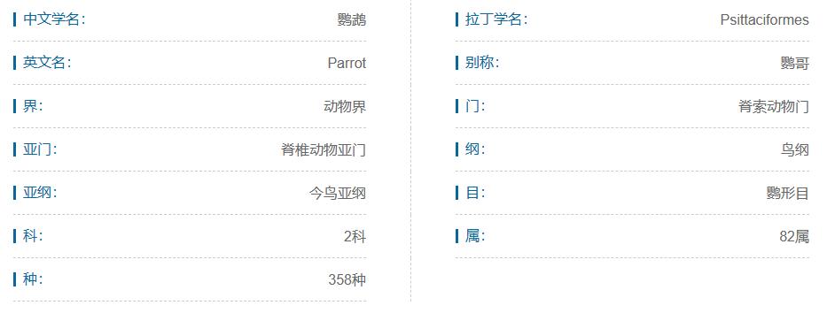 素食宠物食品,素食宠物零食有哪些品种