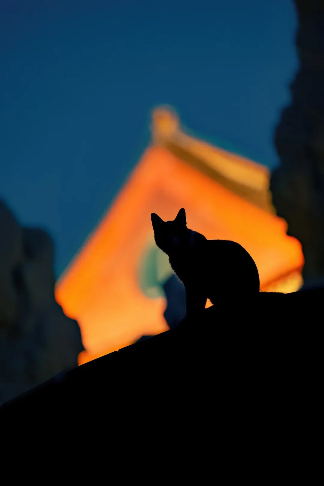 八仙过海各显神通鼠来宝,八仙过海狸猫