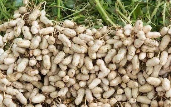 暖心互助见真情——爱满家书（272）