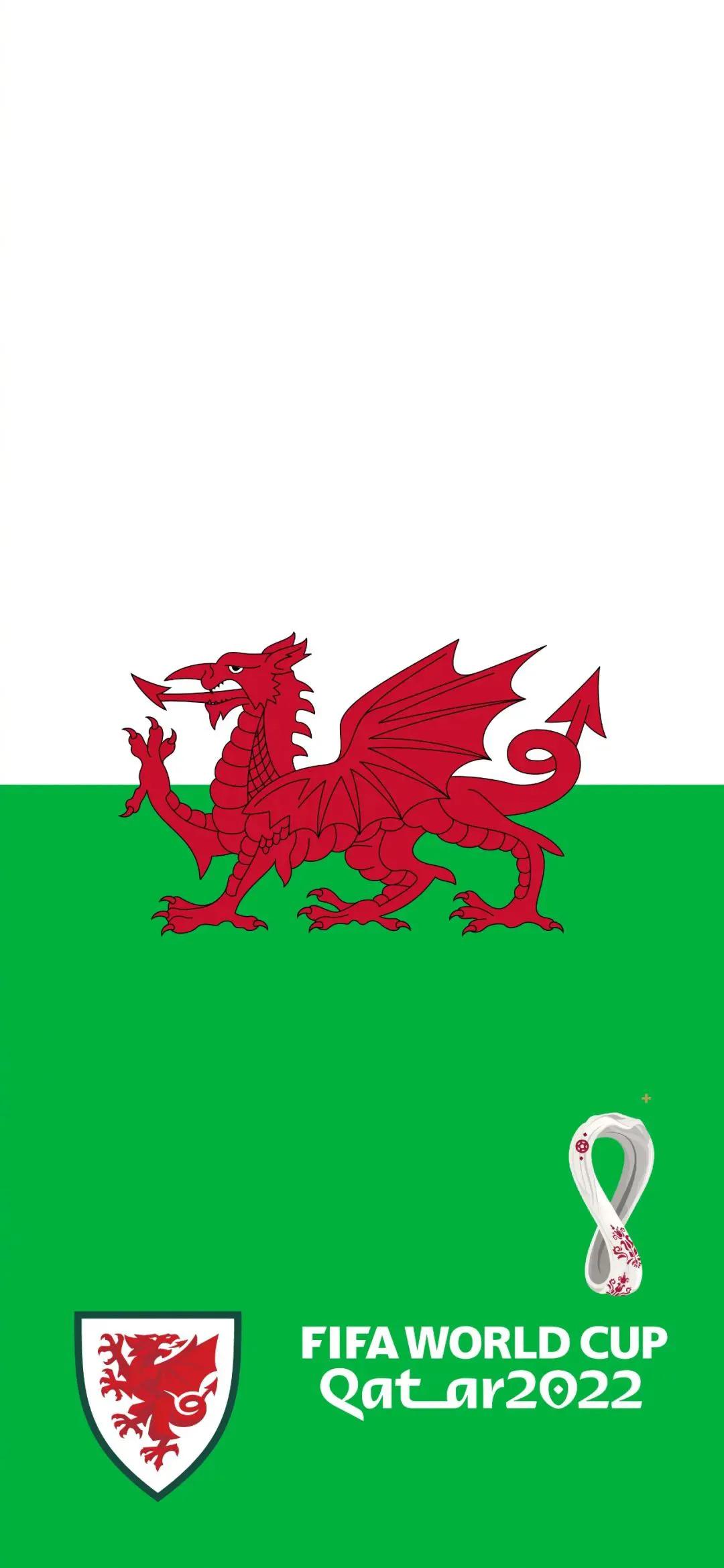 手机壁纸足球队,手机壁纸超清4k足球世界杯