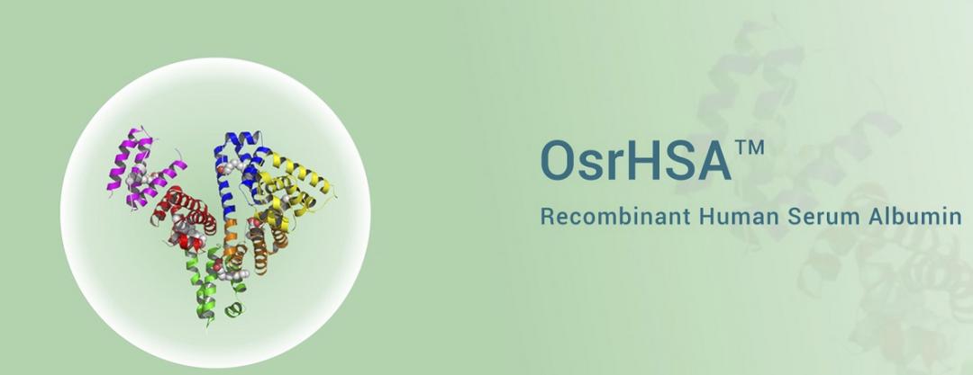 禾元生物发展前景,禾元生物2019