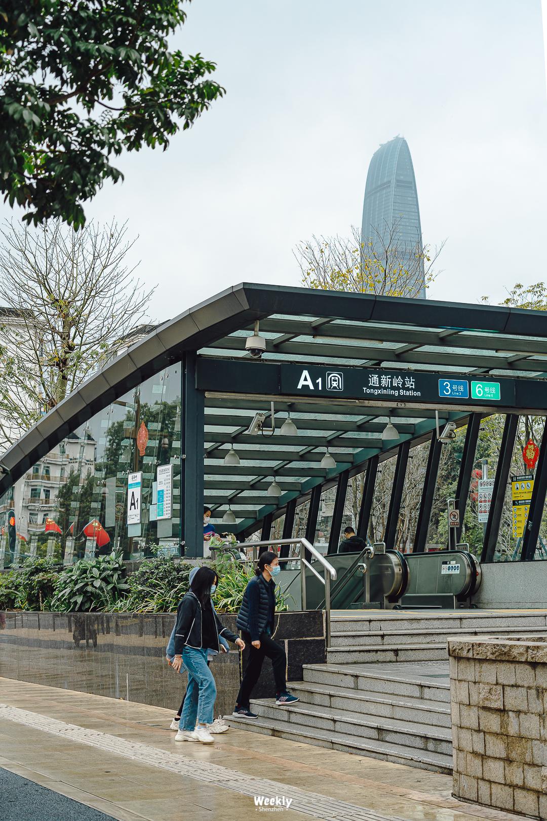 好好走过红荔路，才知道住福田有多让人羡慕