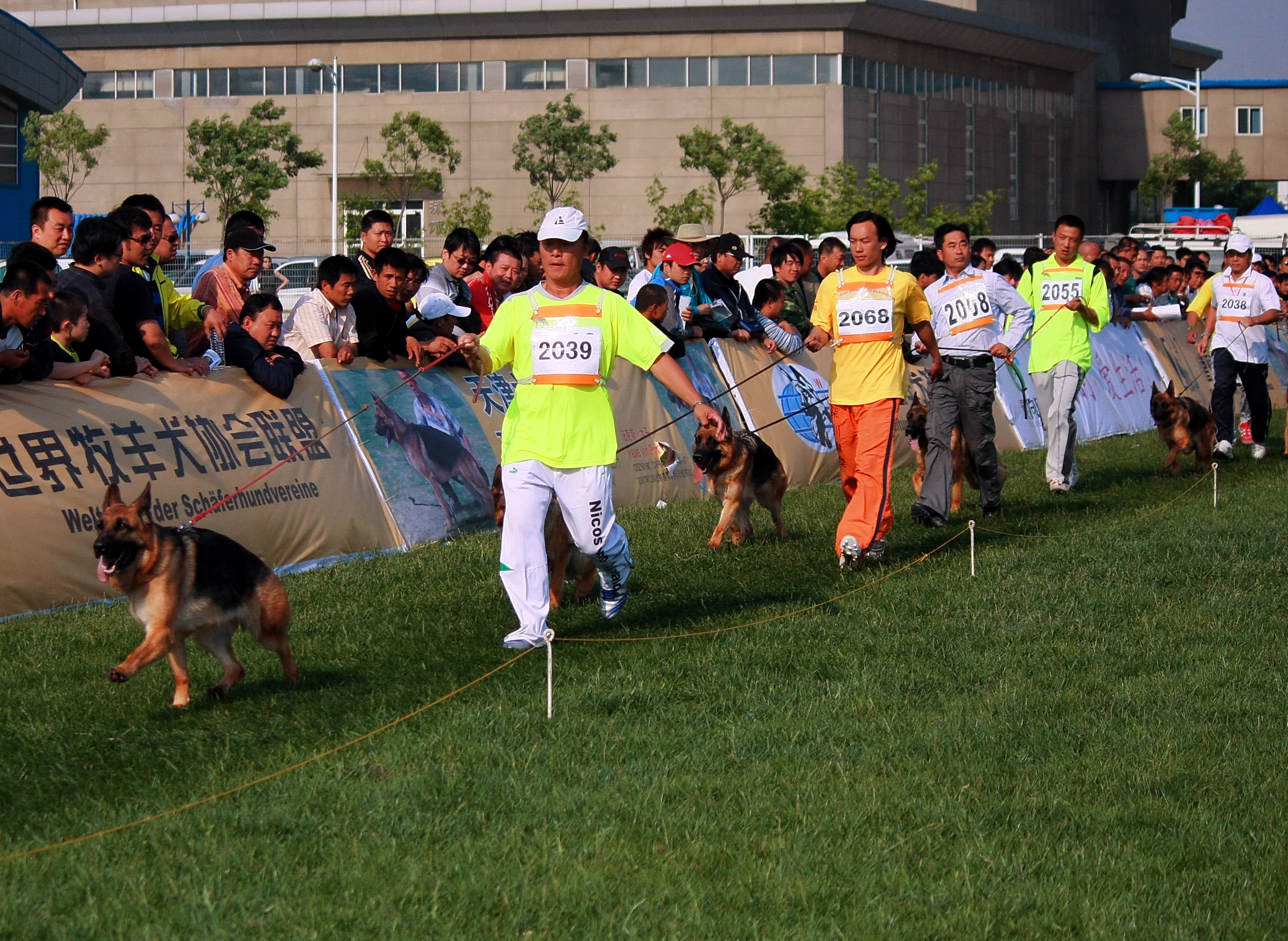 德牧养殖技术书籍大全,德牧饲养攻略