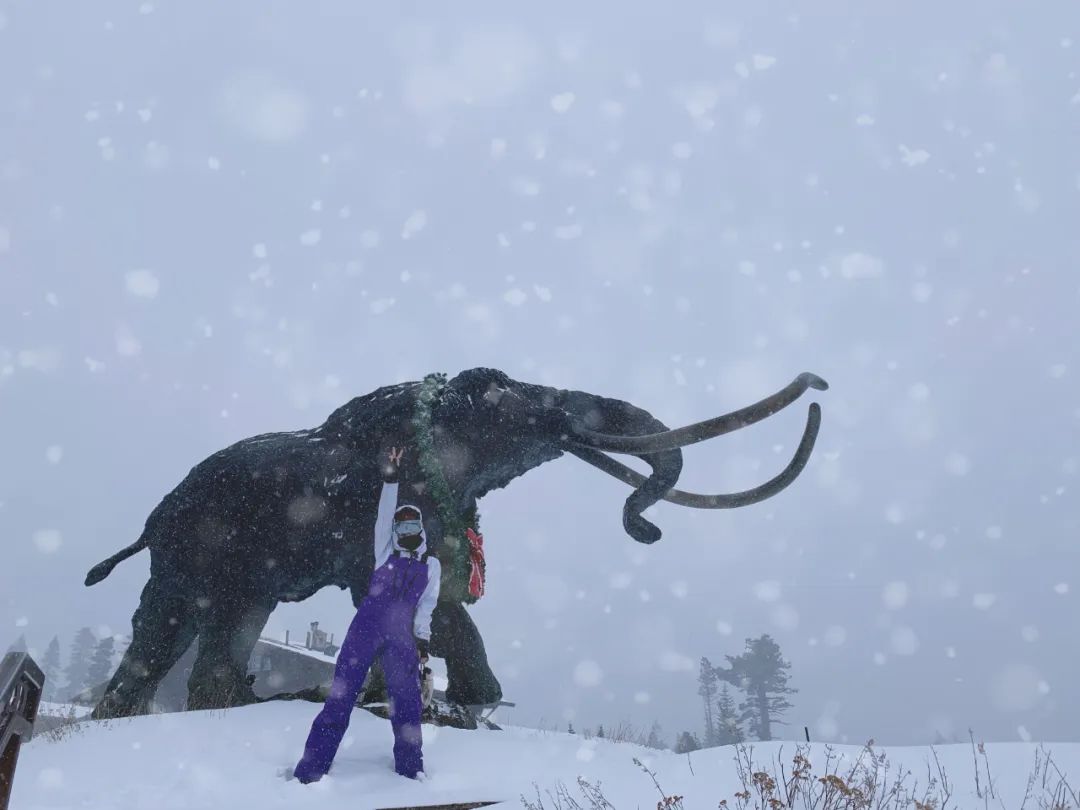 逃离自己的原生家庭前往美国留学,14岁被母亲抛弃独自到浙江