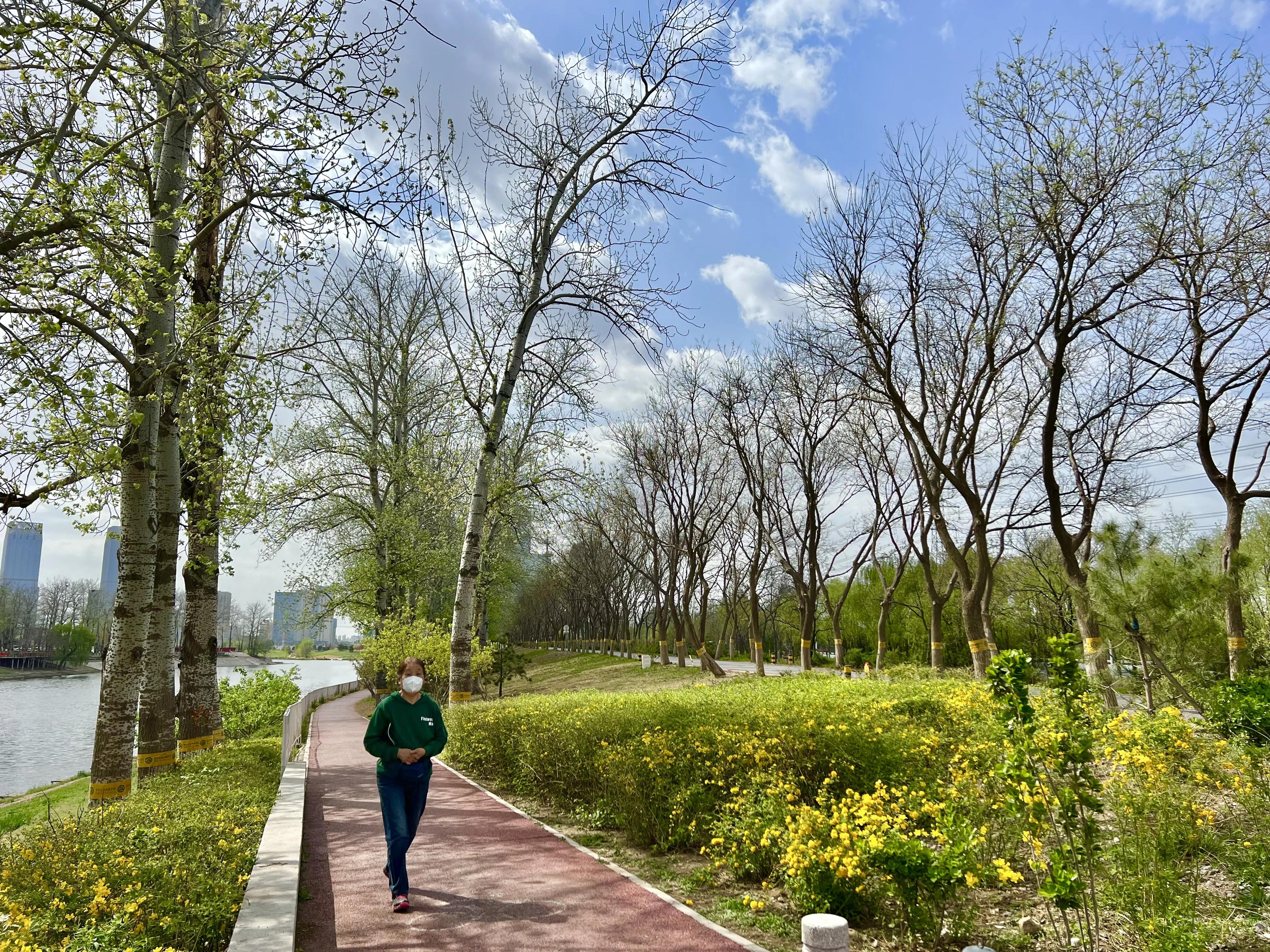 乐逍遥,乐逍遥歌曲