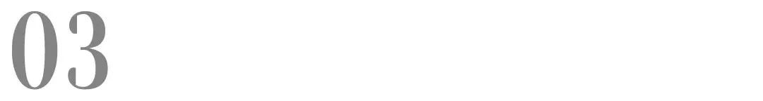 进口冻干犬粮推荐,德国最好的进口犬粮