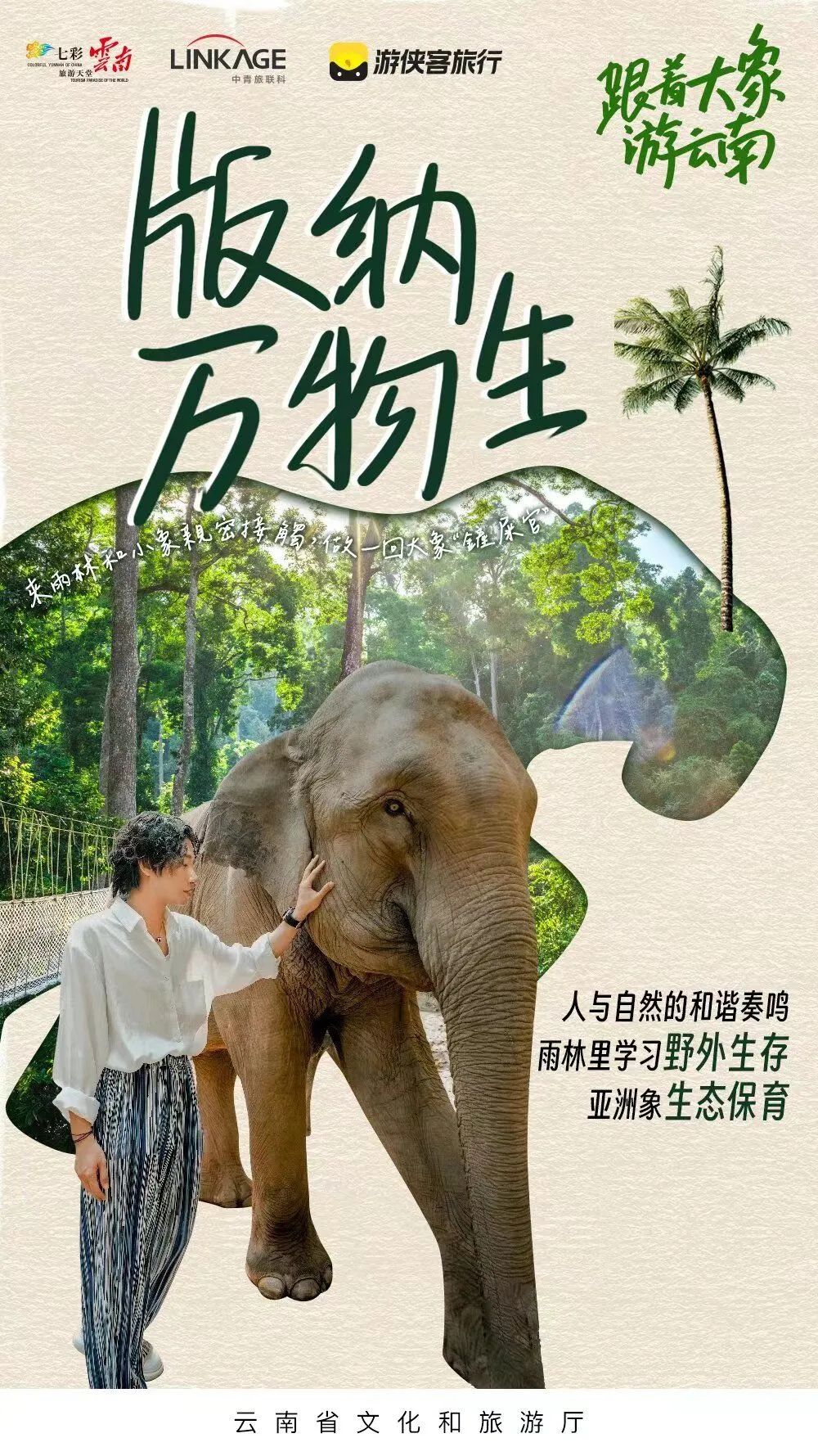 一起去西双版纳看大象,版纳之旅看大象