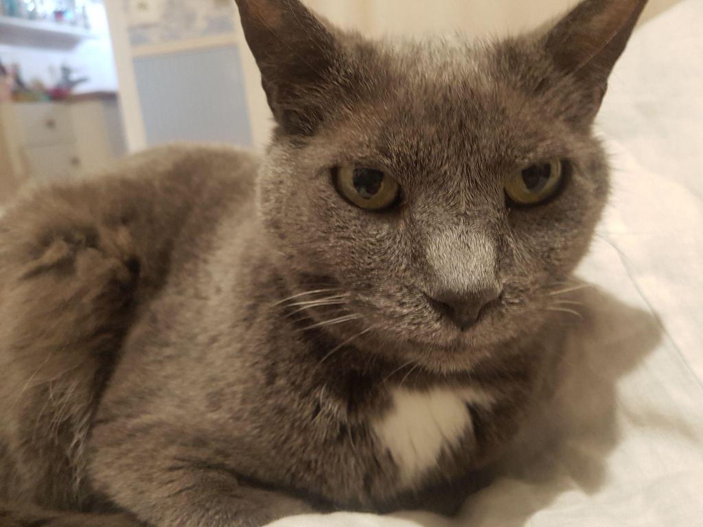 如何证明图灵完备,图灵完备条件判断