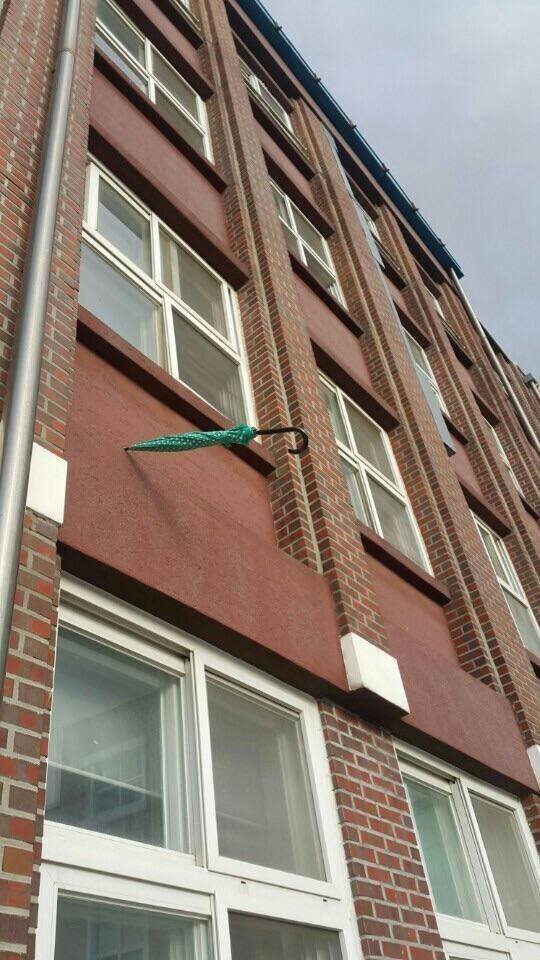 真实大象图片大全可爱,真实野生大象图片