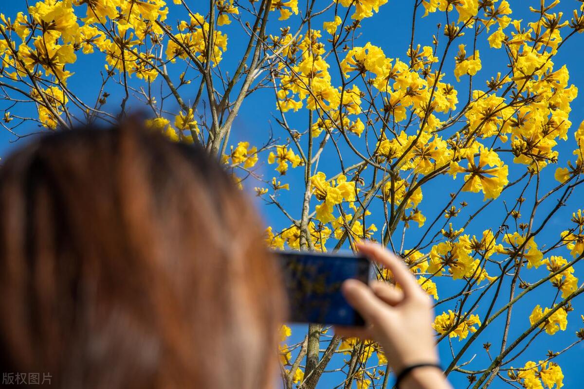 最小的手机图片编辑app,最好用的相片编辑应用