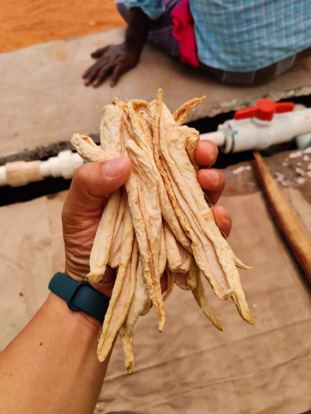 集中营六记,集中营逃亡7年