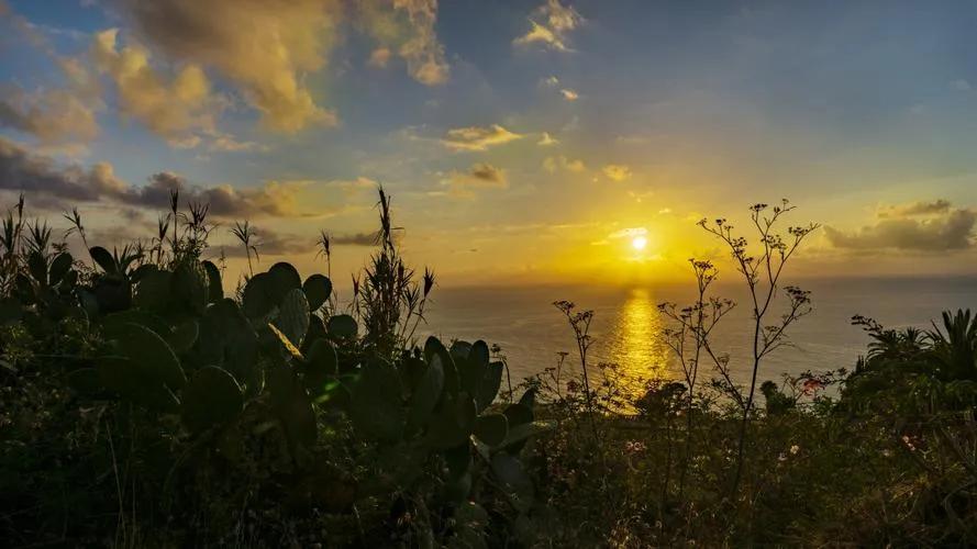 36岁丈夫中风，一家人都不给她好脸色，面对这样的家庭是守还是走