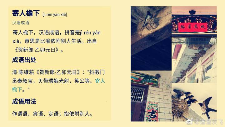 一个“顧”字告诉我们汉字有多美