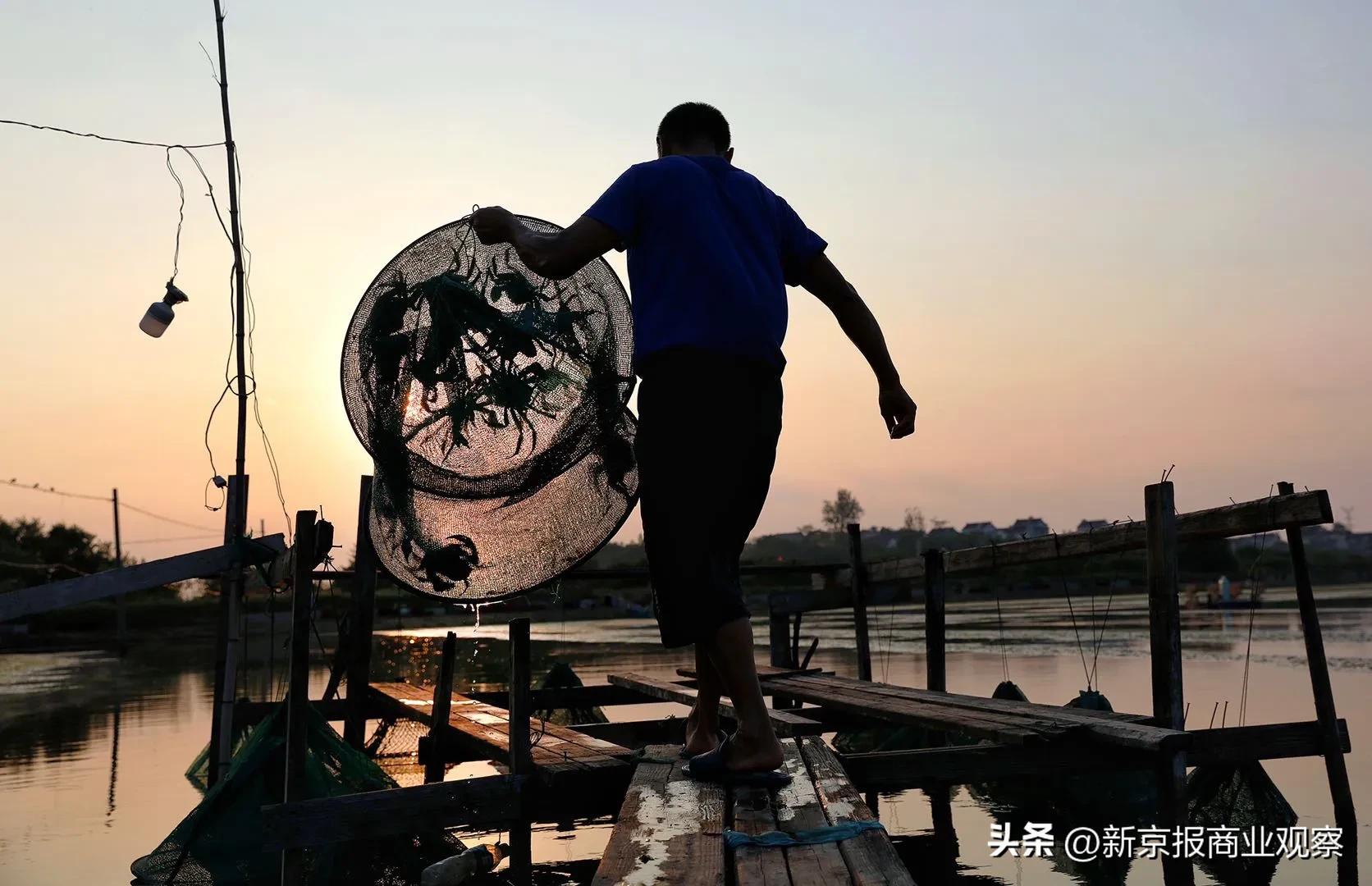 大闸蟹入驻拼多多开店需要什么,拼多多大闸蟹怎么运营