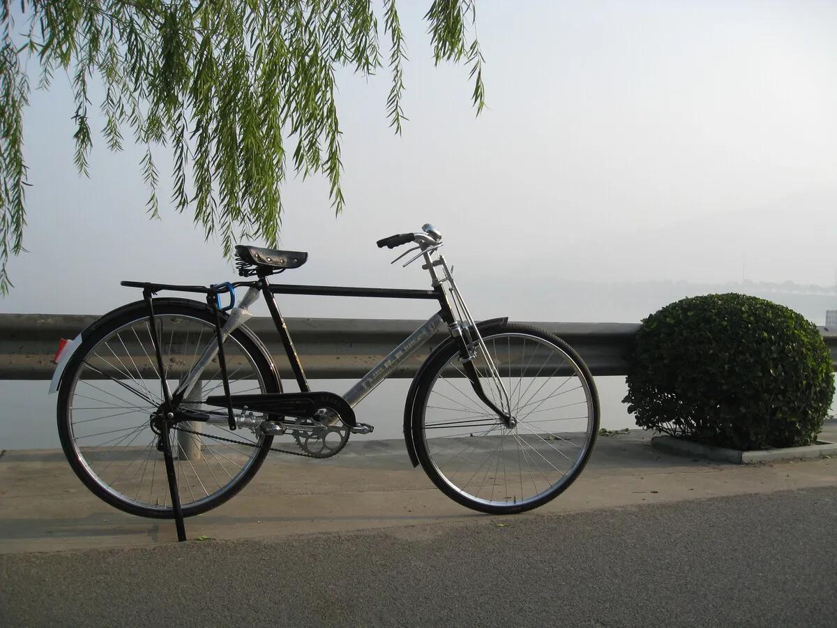 汇源等民族品牌的爱国之心，同大熊猫一样珍贵，他们产品你在用？