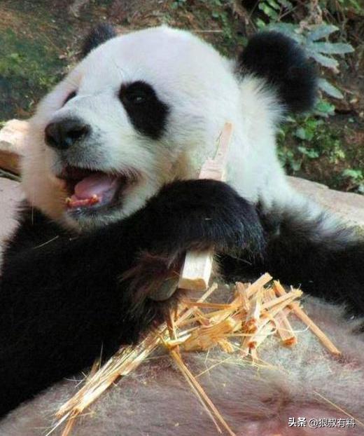 泰国五一,中国游客没来,机场一片冷清,网友:中国赚钱中国花