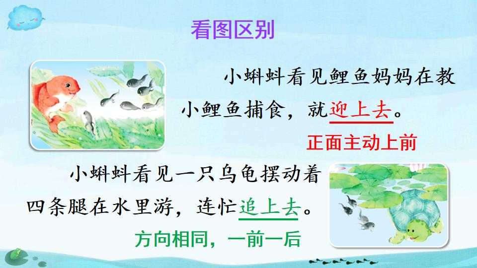 小蝌蚪找妈妈绘本ppt制作教程,二年级课文小蝌蚪找妈妈ppt背景