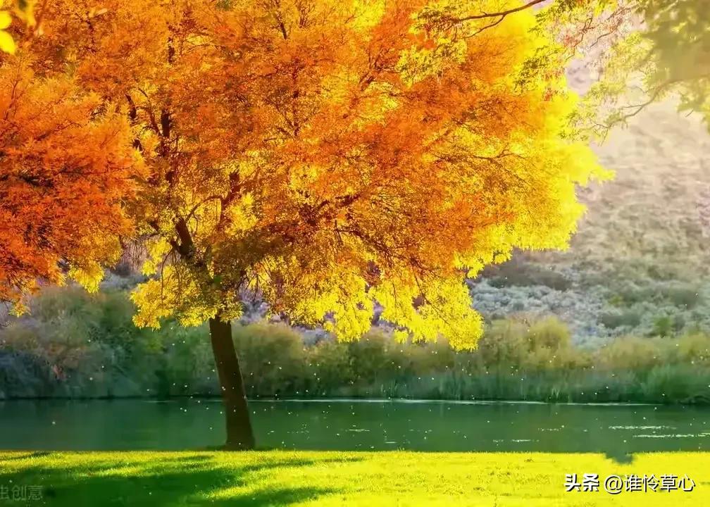 思念令爱意越来越深，想你，思情在心上越聚越浓郁