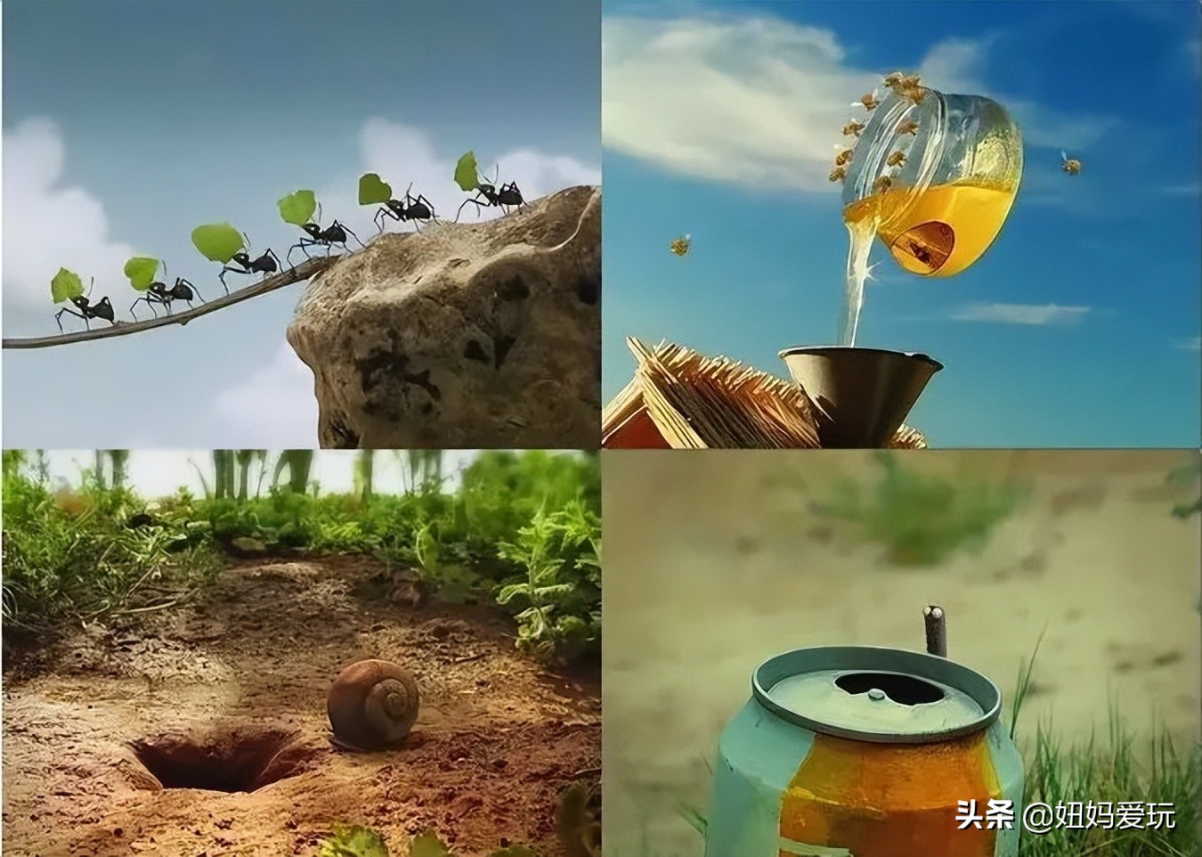 带你真切看人间的宝藏纪录片top10,十一长假适合带孩子看的纪录片