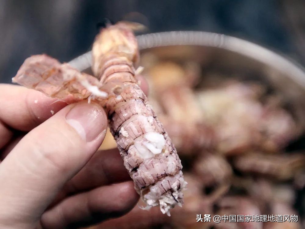 中国吃皮皮虾最好的地方,哪个地方的皮皮虾最好吃