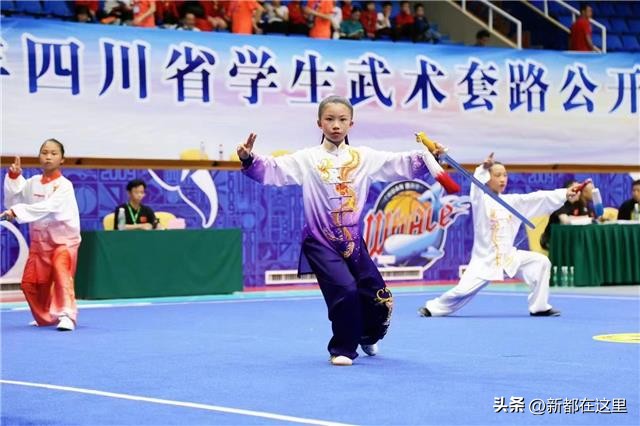 成都实外新都五龙山学校排名情况,成实外教育成都市新都五龙山学校