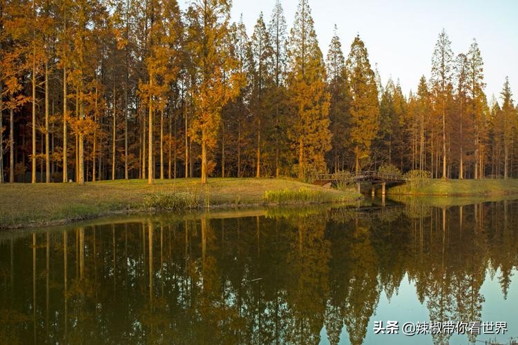 盐城最大的海边城市,盐城海岸线为何一直延伸